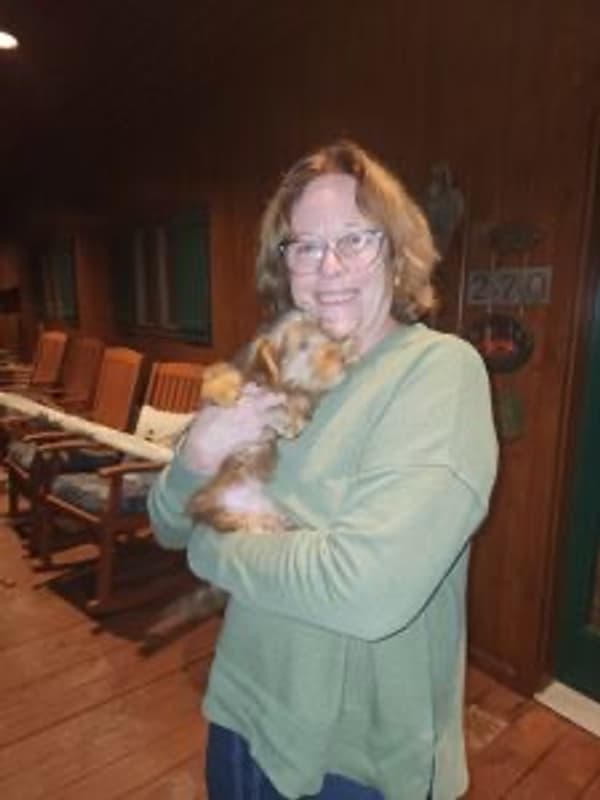 Customer photo of Yorkiepoo - Yorkie Poo puppy from Karen D.