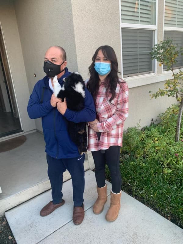 Customer photo of Australian Shepherd puppy from Marjorie G.