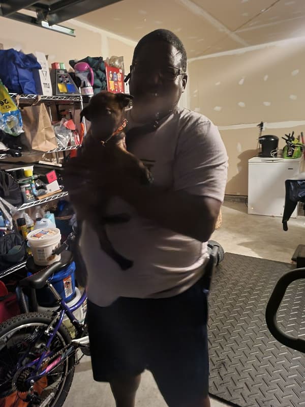 Customer photo of Belgian Malinois puppy from Ray J.