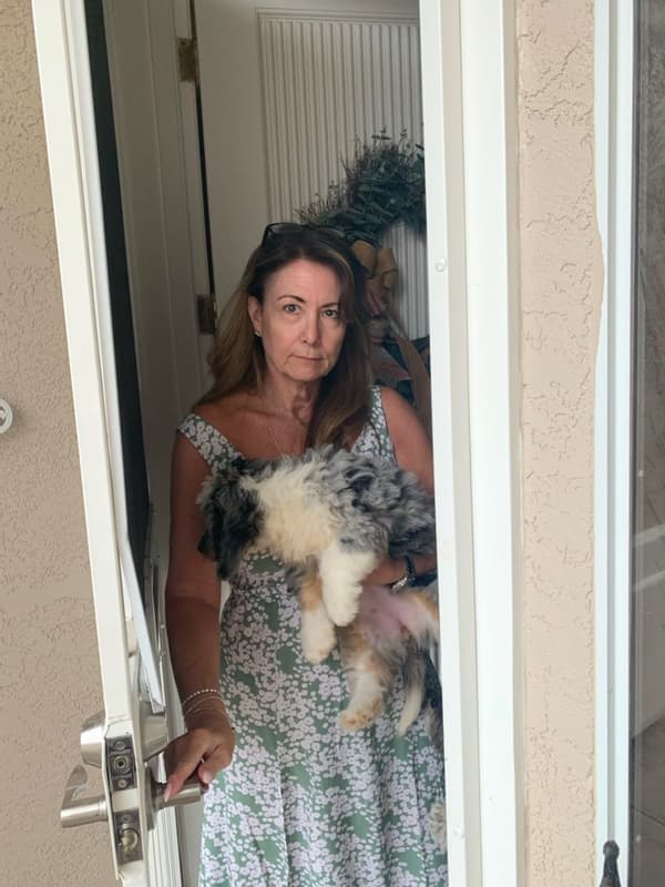 Customer photo of Bernedoodle, Mini puppy from Carlotta B.
