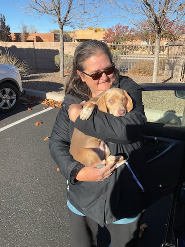 Customer photo of Beagle puppy from Theresa W. 