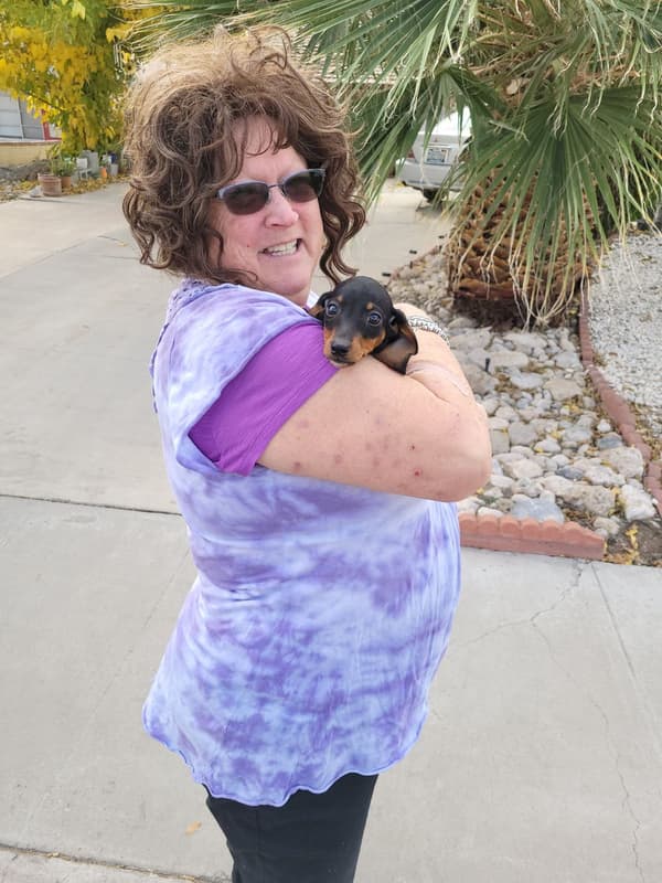 Customer photo of Dachshund, Mini puppy from Kristine M.