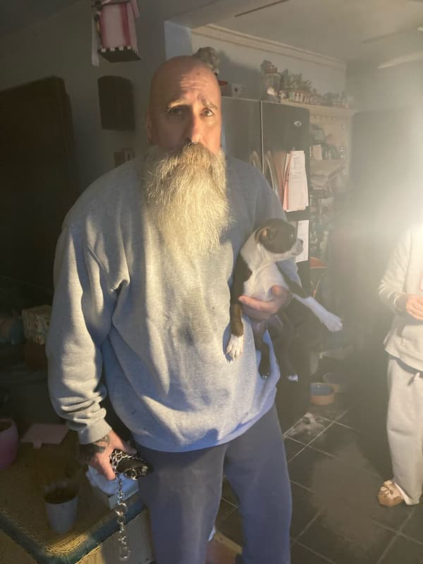 Customer photo of Boston Terrier puppy from John S.