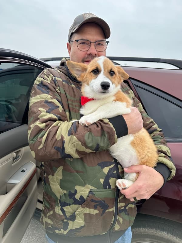 Customer photo of Corgi, Pembroke Welsh puppy from Lisa Y.