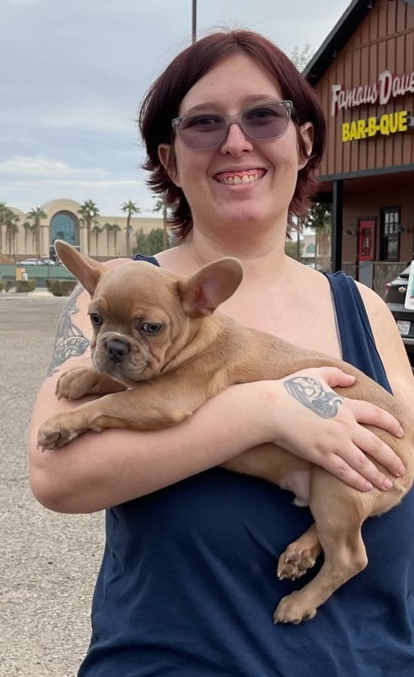 Customer photo of French Bulldog puppy from Taylor E.