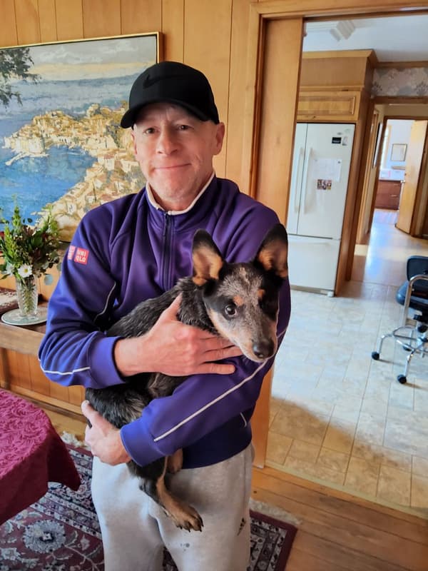 Customer photo of Australian Cattle Dog/Blue Heeler puppy from Dave P.