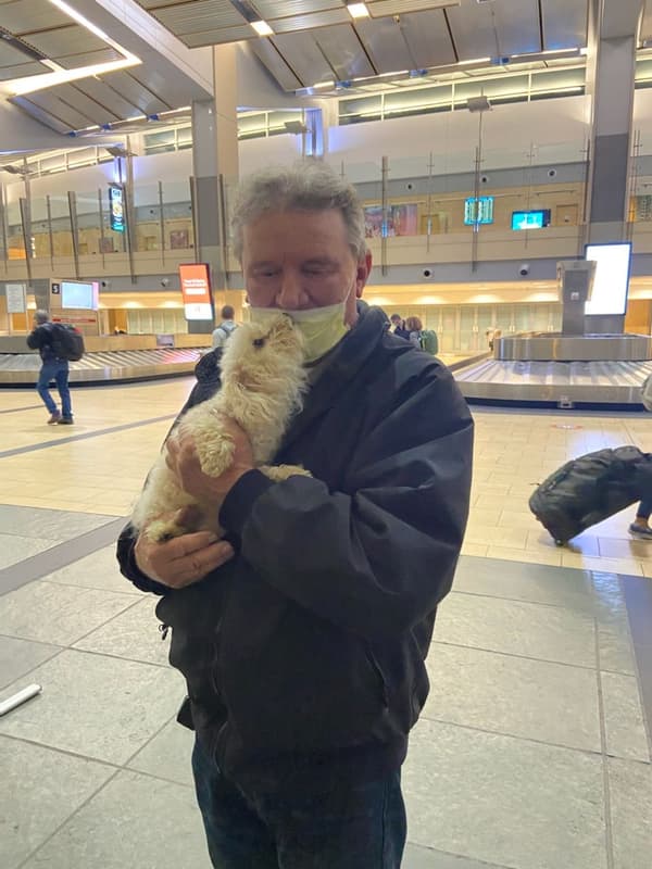 Customer photo of Poodle, Toy puppy from Ken K. 