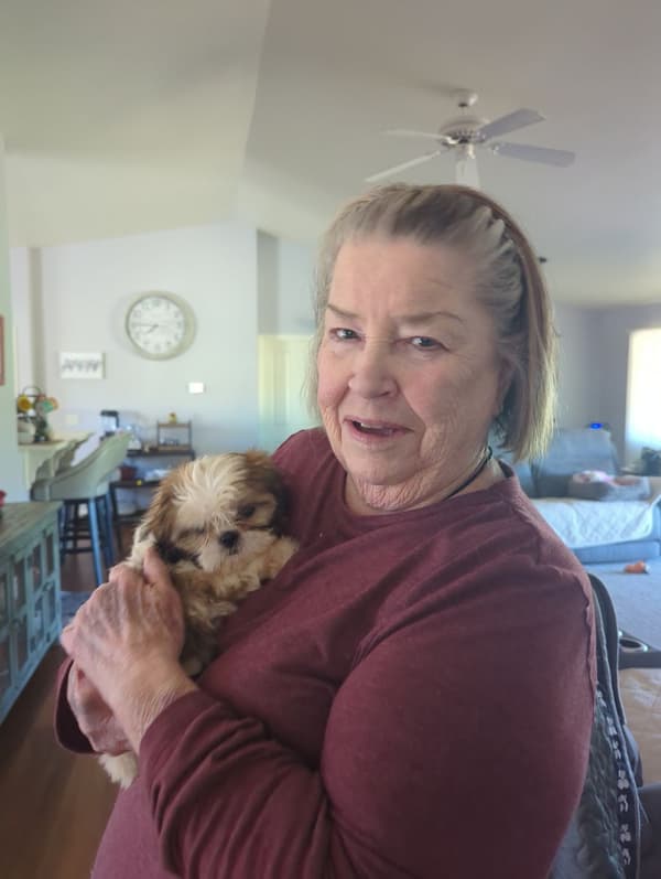 Customer photo of Shih Tzu puppy from Judith M.