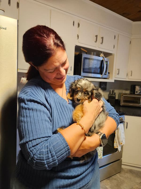 Customer photo of Mixed/Other puppy from Suzanne L.