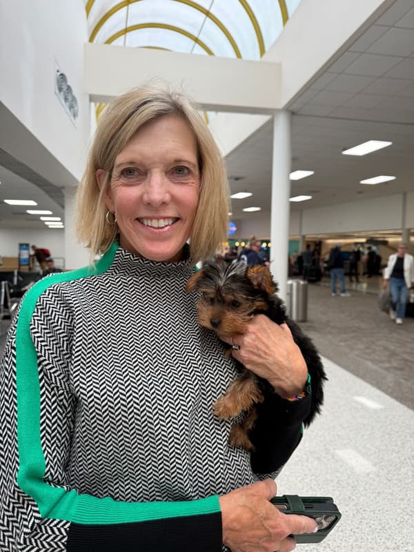 Customer photo of Yorkshire Terrier - Yorkie puppy from Annie B.
