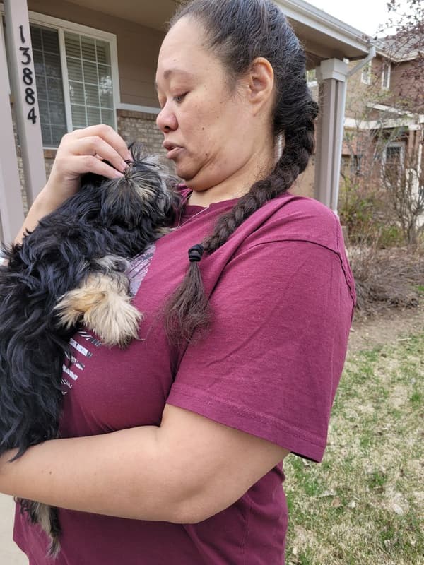 Customer photo of Yorkshire Terrier - Yorkie puppy from Belinda B. 