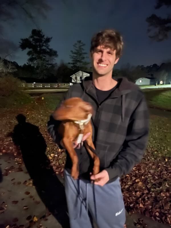 Customer photo of German Pinscher puppy from Josh P.