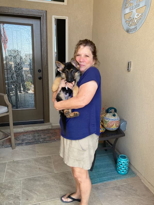 Customer photo of German Shepherd puppy from Barbara U.