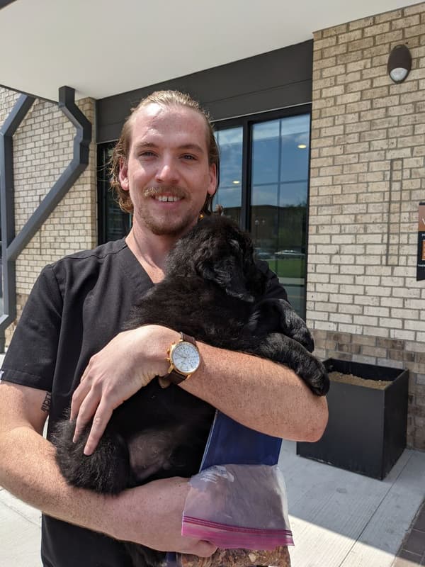 Customer photo of Bernedoodle puppy from Jake S.