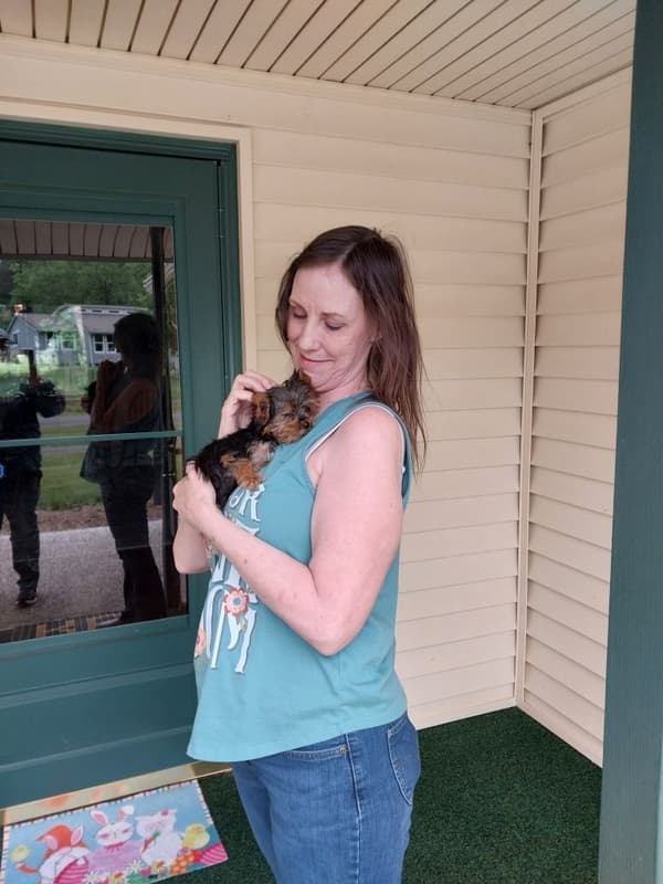 Customer photo of Yorkshire Terrier - Yorkie puppy from RaeAnn C.