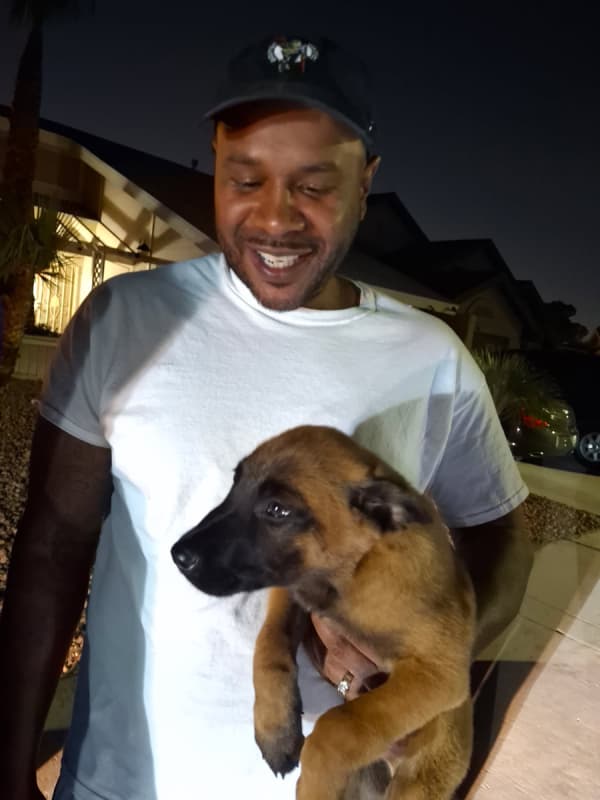 Customer photo of Belgian Malinois puppy from Genuvie M.