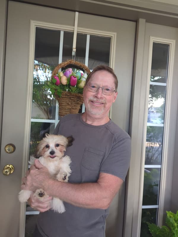 Customer photo of Shih-Poo - Shihpoo puppy from David T.