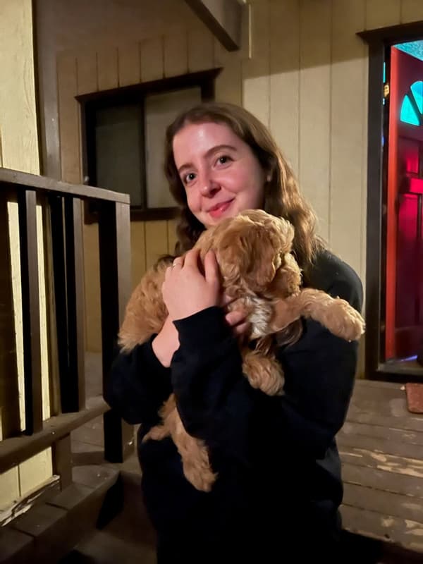 Customer photo of Goldendoodle, Mini puppy from Norea I.