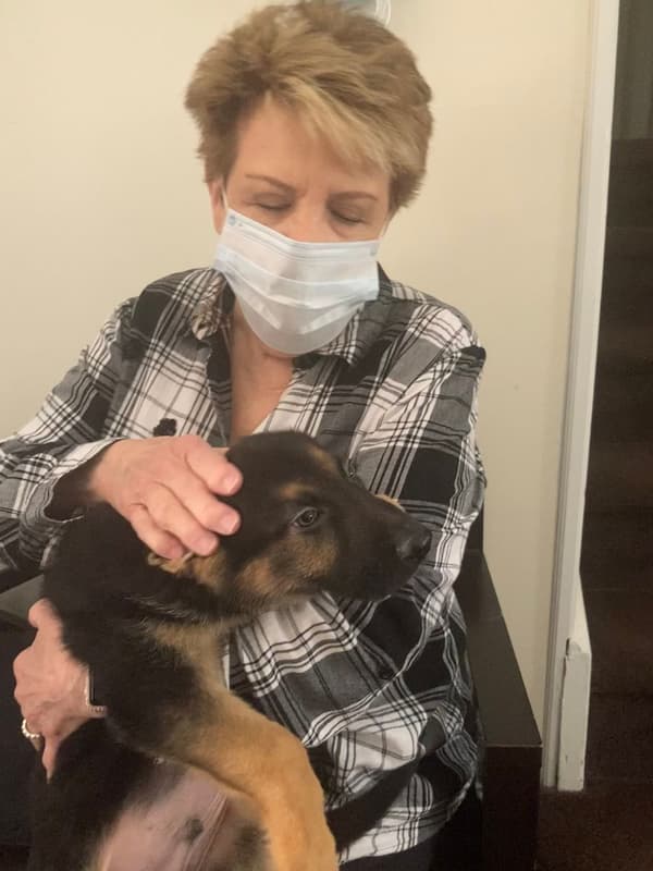 Customer photo of German Shepherd puppy from Kathy M.