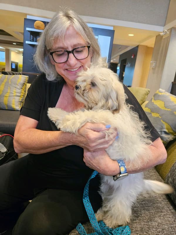 Customer photo of Shichon puppy from Deb F.