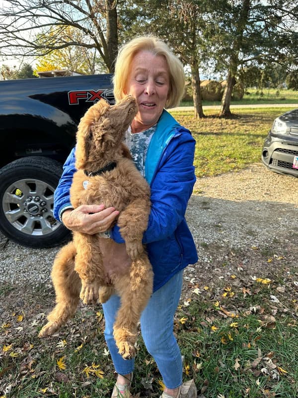 Customer photo of Poodle, Standard puppy from Patricia C.
