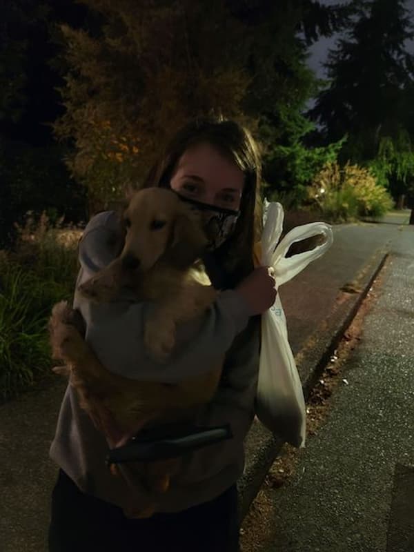 Customer photo of Dachshund, Mini puppy from Casey Y.