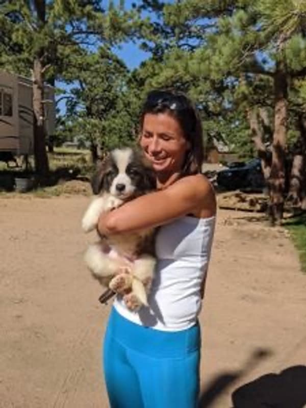 Customer photo of Saint Bernard - St. Bernard puppy from Agnes N.
