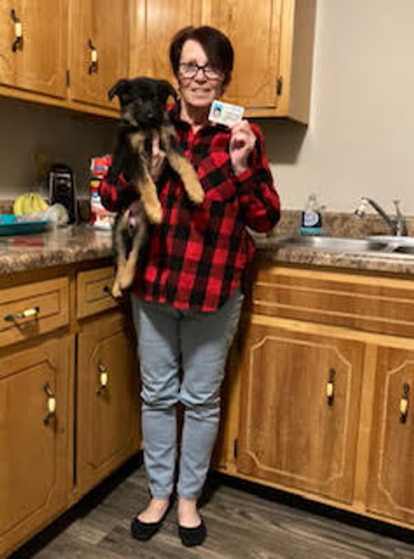 Customer photo of German Shepherd puppy from Alice E.