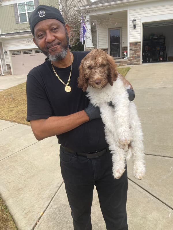 Customer photo of Labradoodle puppy from Don A.