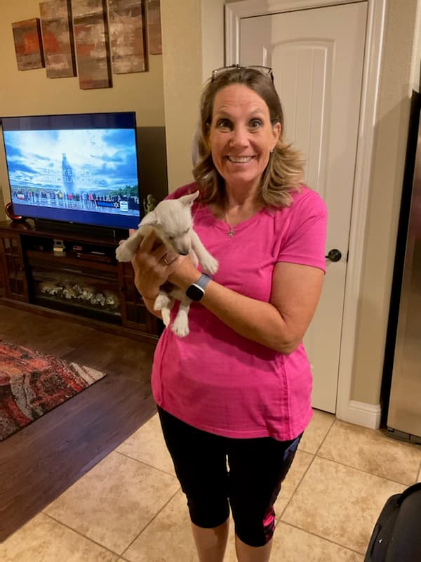 Customer photo of West Highland White Terrier - Westie puppy from Shawnia P. 