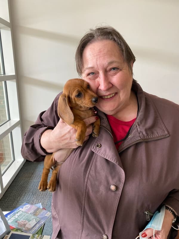 Customer photo of Dachshund, Mini puppy from Naomi D.