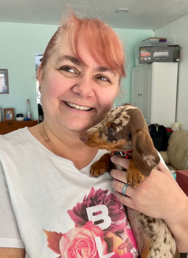 Customer photo of Dachshund, Mini puppy from Lisa P.