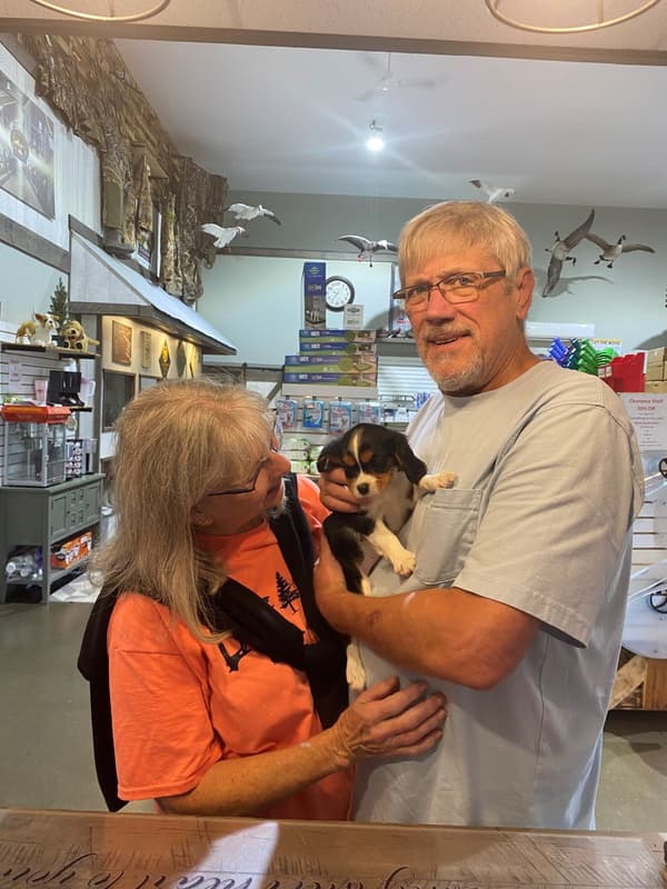 Customer photo of Cavalier King Charles Spaniel puppy from Steve S.