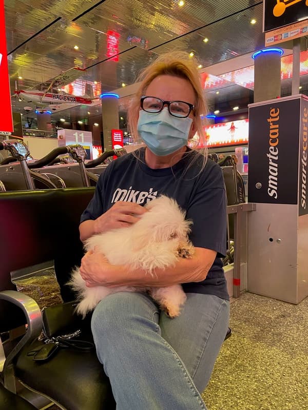 Customer photo of Bichon Frise puppy from Jack D.