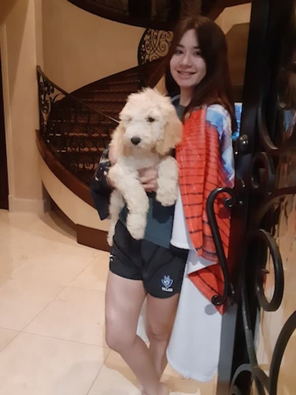 Customer photo of Sheepadoodle puppy from Jose R.