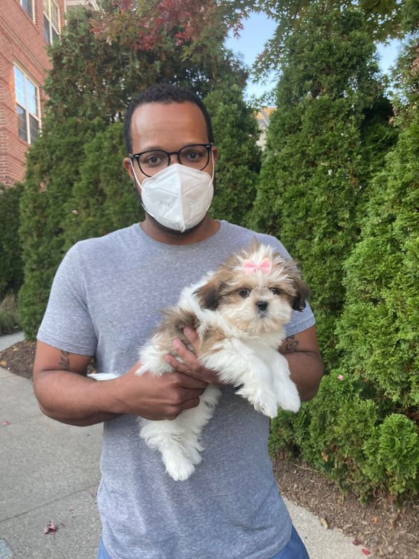 Customer photo of Shih Tzu puppy from Kamau P.