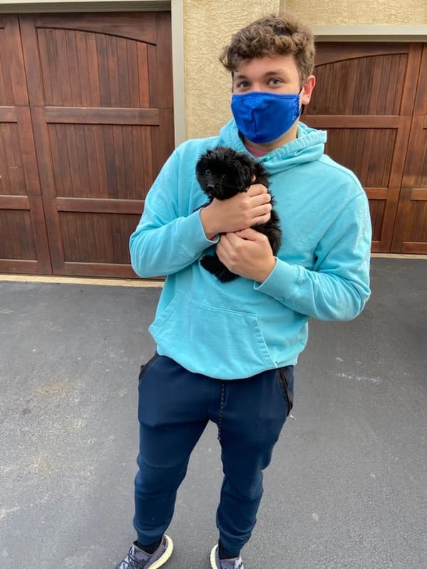 Customer photo of Aussiedoodle puppy from Joe B.