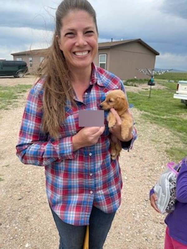 Customer photo of Bordoodle puppy from Teri S.