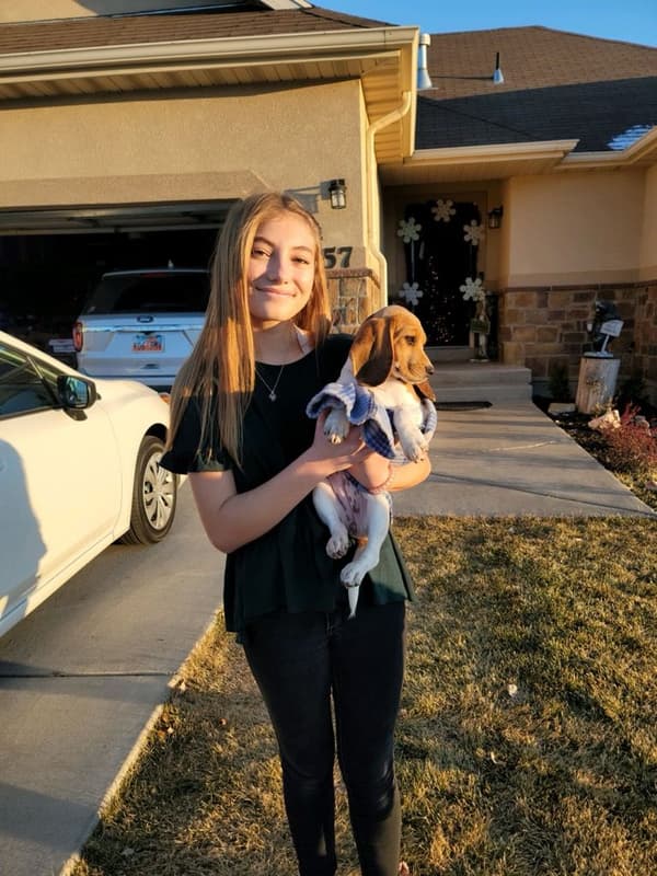 Customer photo of Beagle puppy from Ashley A.