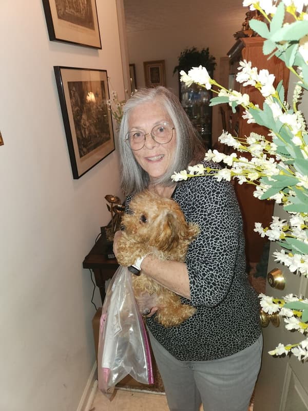 Customer photo of Poodle, Miniature puppy from Mari S.