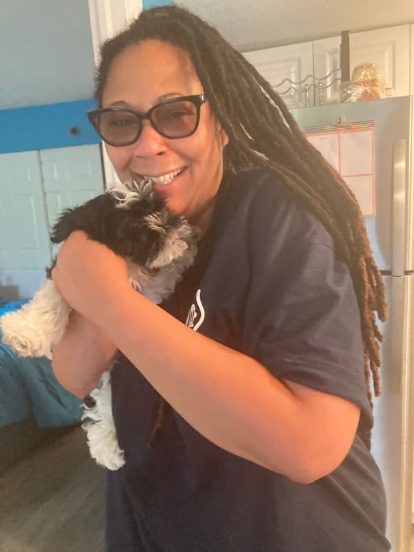 Customer photo of Shih-Poo - Shihpoo puppy from Yolanda W.