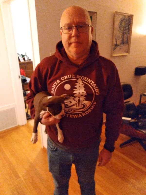 Customer photo of Boston Terrier puppy from Elliott J.