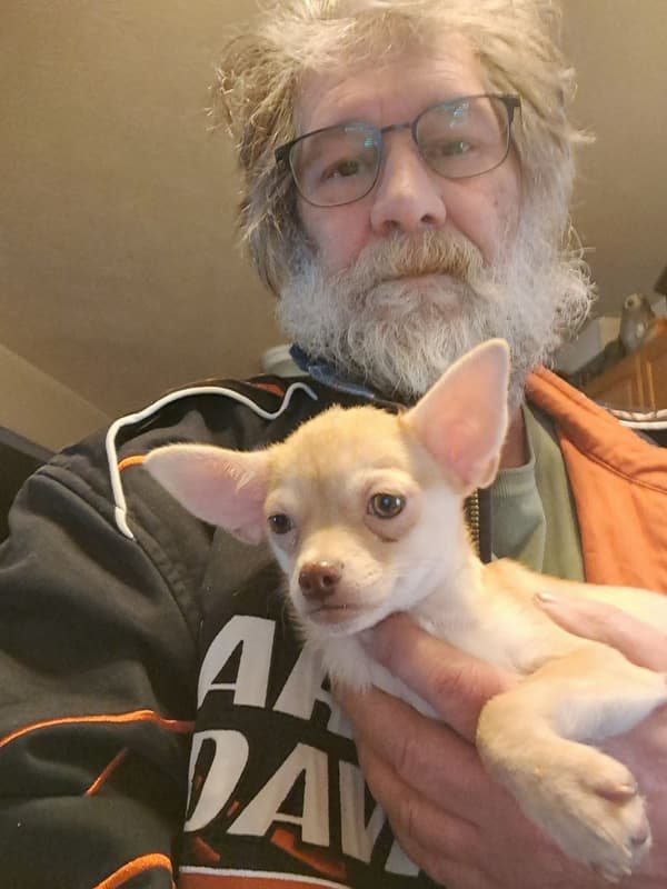 Customer photo of Chihuahua puppy from Cary H.