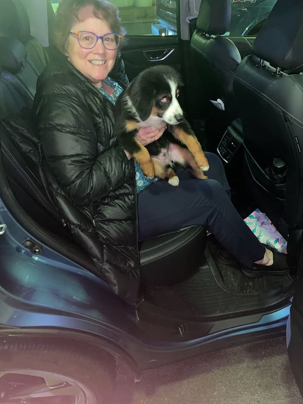 Customer photo of Miniature Australian Shepherd puppy from Dana C.