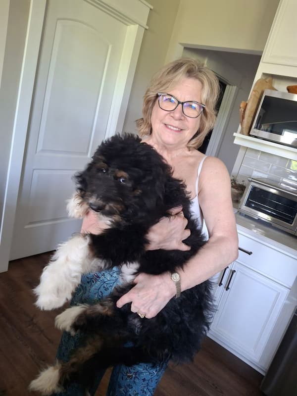 Customer photo of Bernedoodle puppy from Dorothy V.