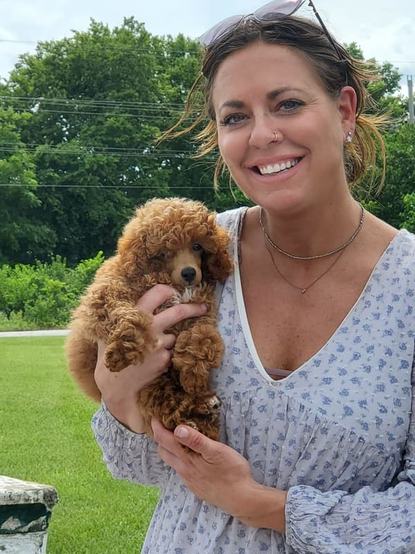 Customer photo of Poodle, Miniature puppy from Jill T.