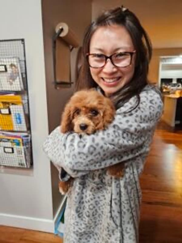 Customer photo of Cavapoo puppy from Sophia W.