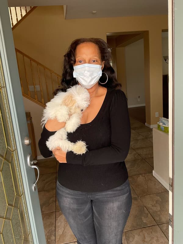 Customer photo of Mal-Shi - Malshi puppy from Janet J.