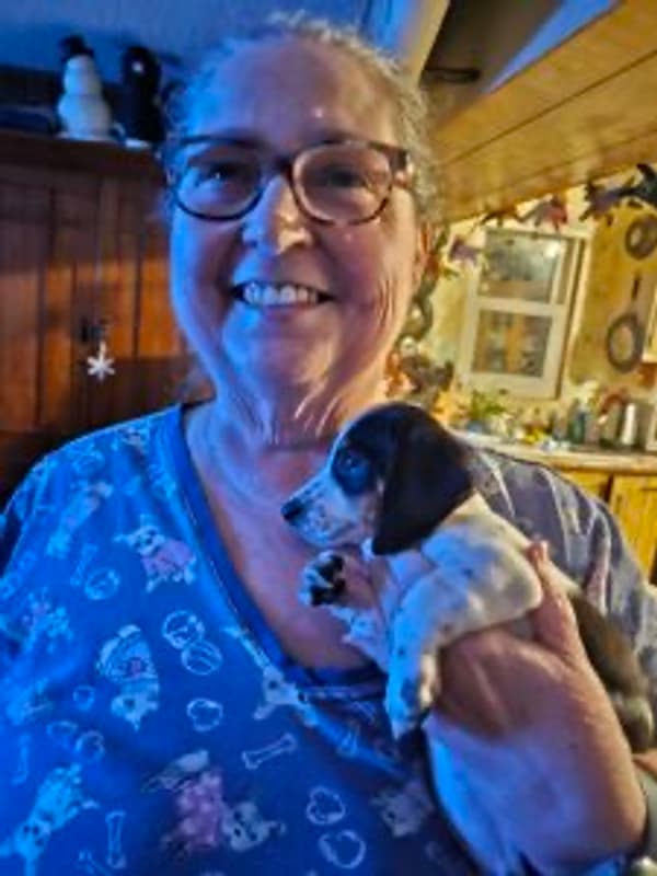 Customer photo of Dachshund, Mini puppy from Pauline S.