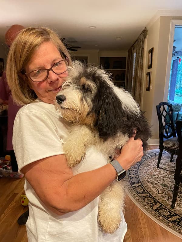 Customer photo of Bernedoodle, Mini puppy from Mary C. 